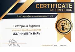 Желчный пузырь